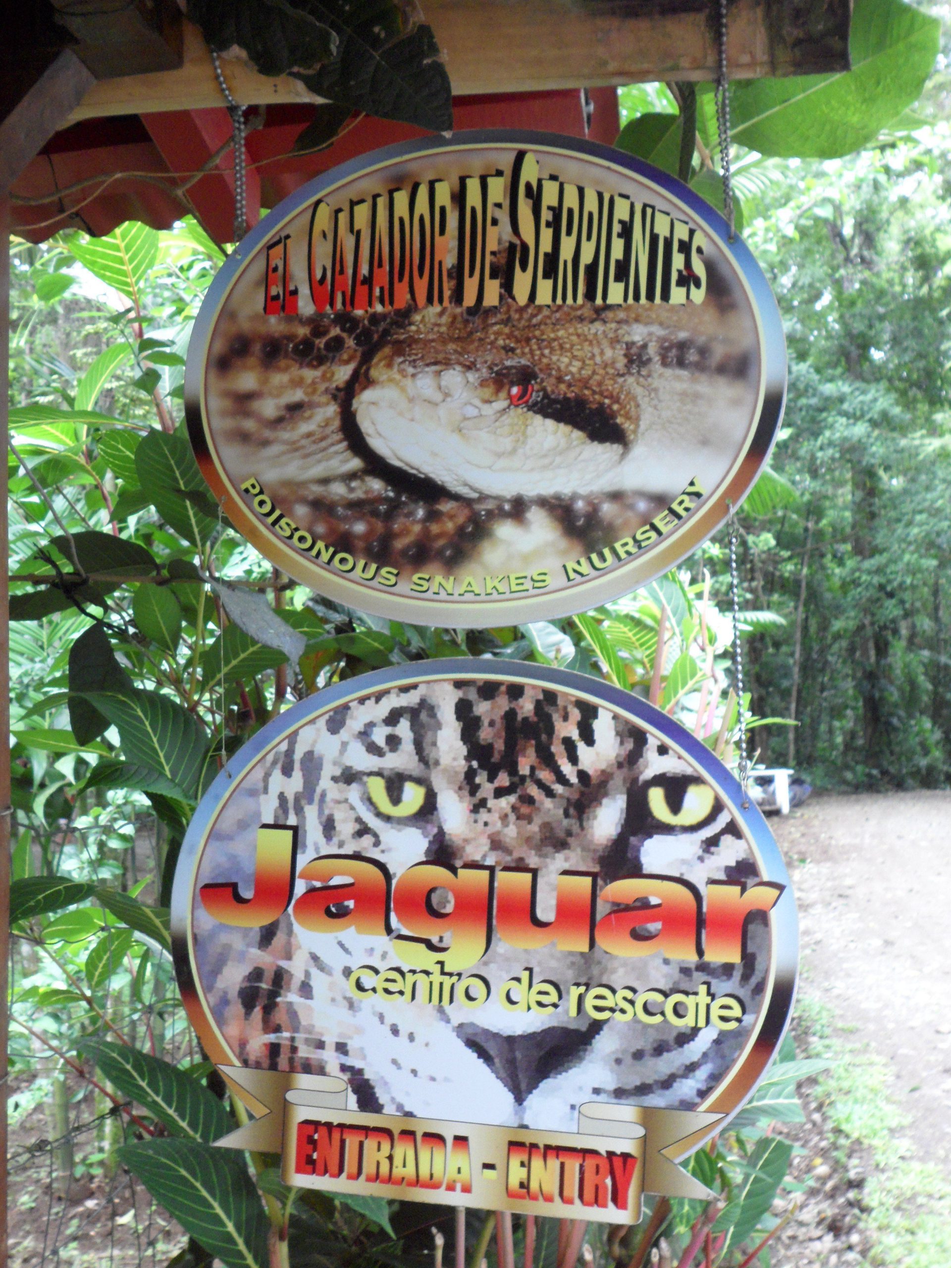The Jaguar Rescue Center - Tropical Adventures