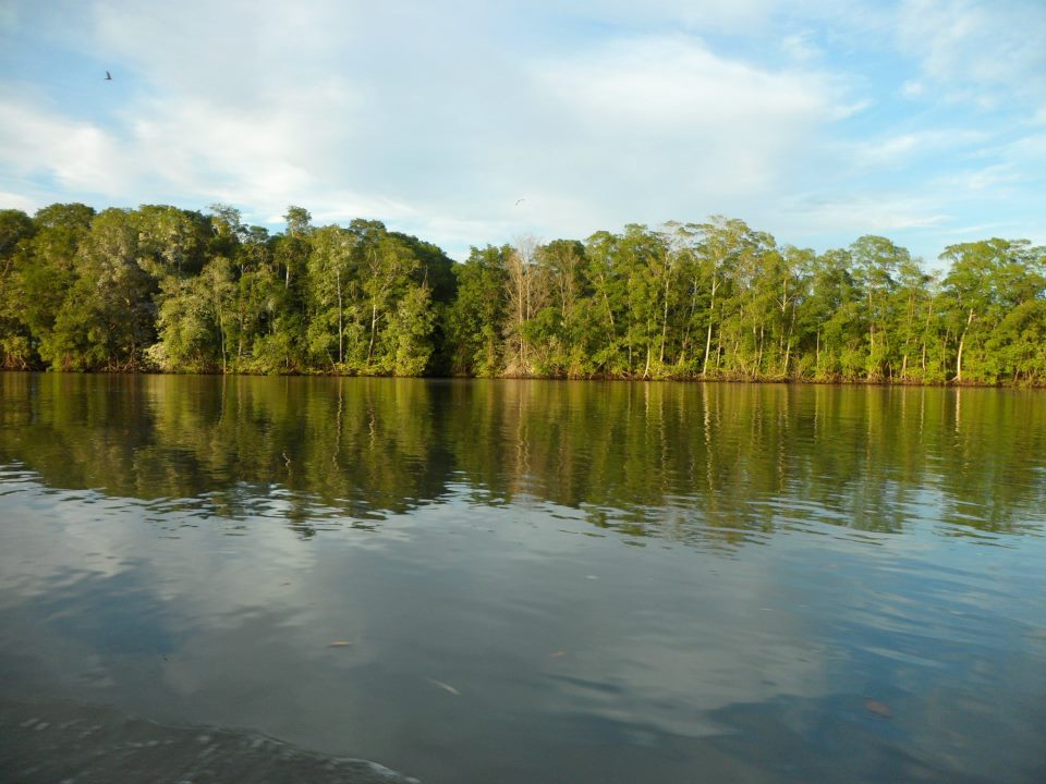 Trip to Isla Chíra - Tropical Adventures